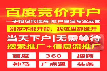 某品牌SEM推广策略的成效与启示
